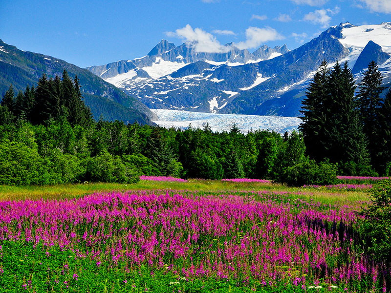 shore excursions in alaska