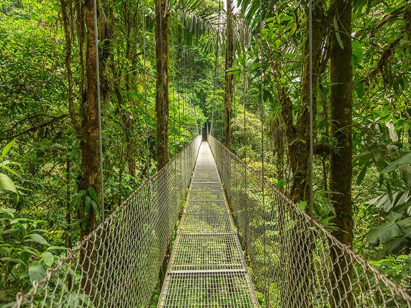 excursions in caribbean